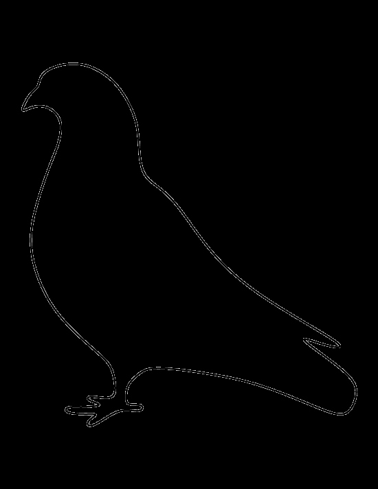 Free Printable Dove Template Fresh Printable Pigeon Template
