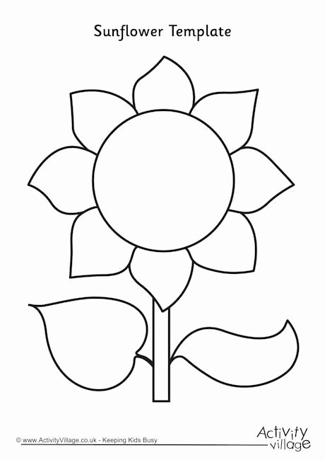 Free Printable Giant Flower Template Best Of Best 25 Flower Template Ideas On Pinterest