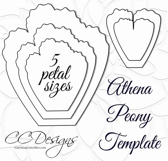 Free Printable Giant Flower Template Elegant Giant Paper Peonies Printable Pdf Flower Templates Peony Pdf