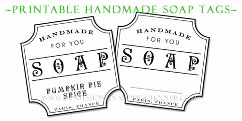 Free Printable soap Label Templates Best Of Diy Pumpkin Pie soap Tutorial