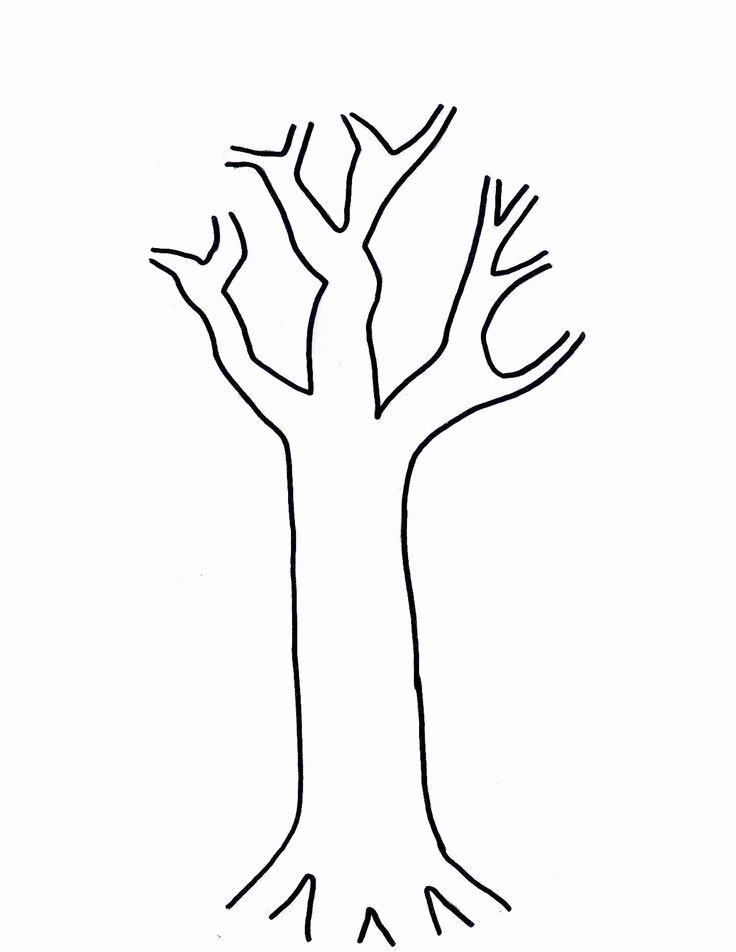 Free Printable Tree Template Awesome Free Printable Tree Template Coloring Home