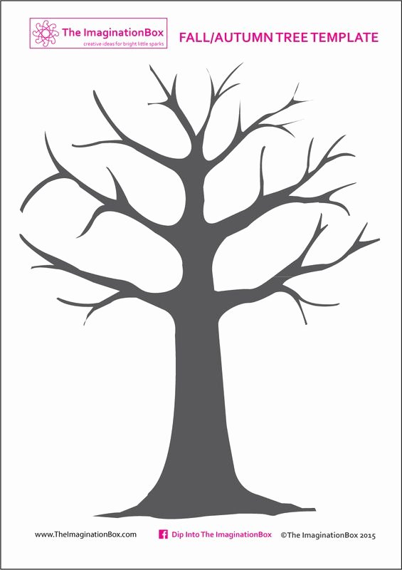 Free Printable Tree Template Beautiful 25 Best Ideas About Tree Templates On Pinterest