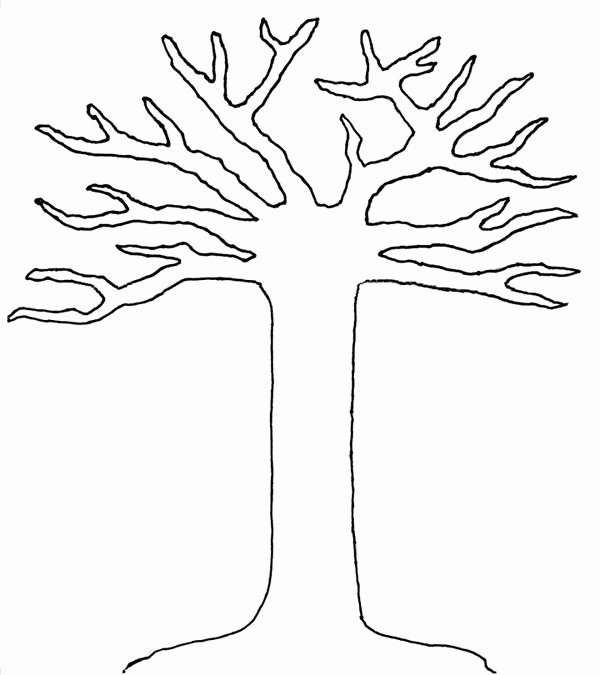 Free Printable Tree Template Beautiful Free Tree Printable