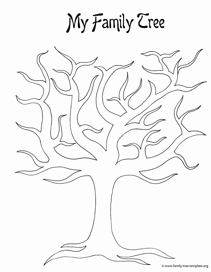 Free Printable Tree Template Elegant Best 25 Blank Family Tree Template Ideas On Pinterest