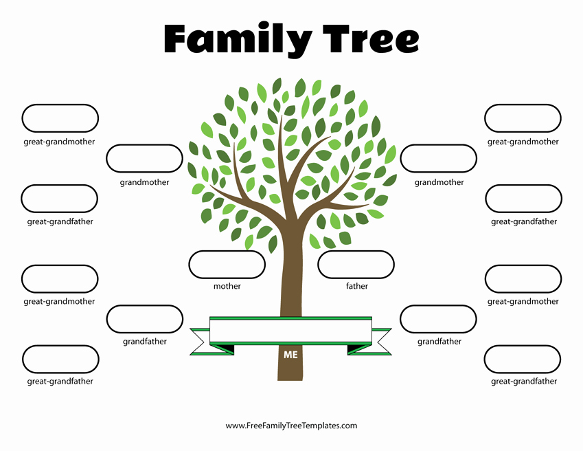 Free Printable Tree Template Luxury 4 Generation Family Tree Template – Free Family Tree Templates