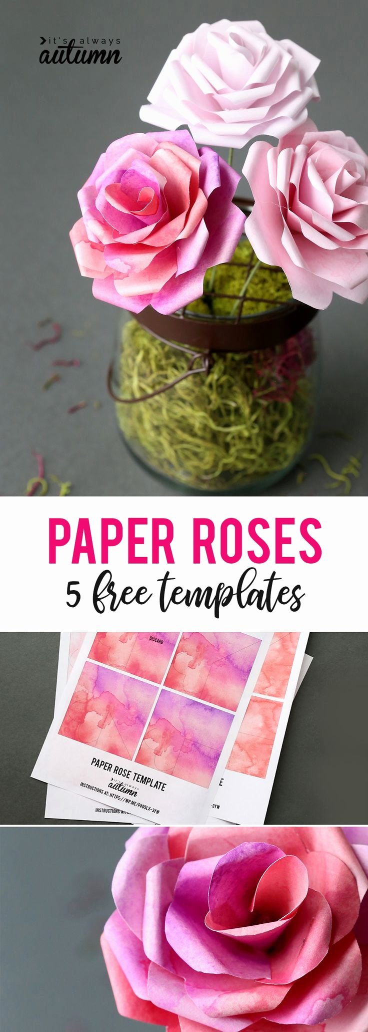 Free Rose Paper Flower Template Beautiful Best 25 Cookbook Template Ideas On Pinterest