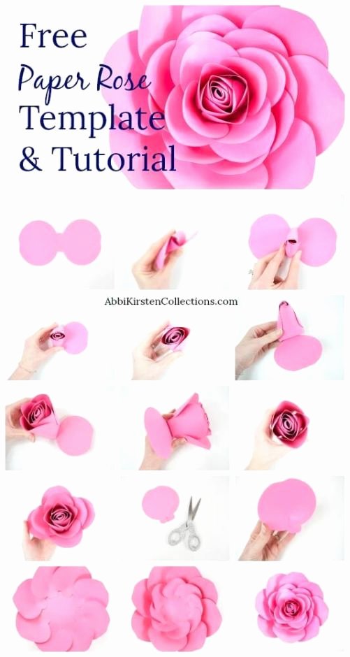 Free Rose Paper Flower Template Best Of Free Paper Rose Template Diy Camellia Rose Tutorial