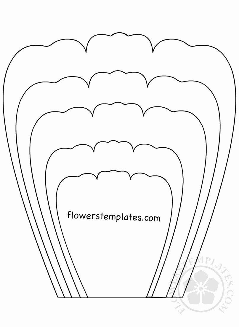 Free Rose Paper Flower Template Fresh Rose Petal Template Printable