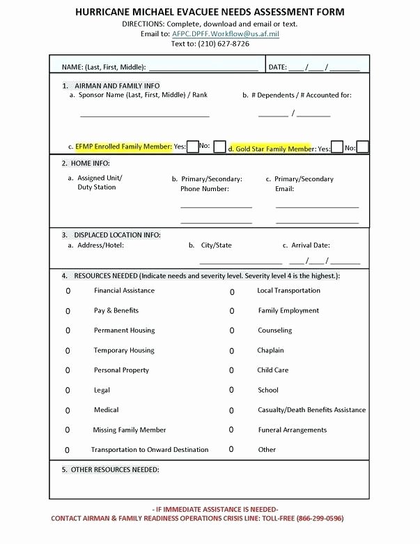 Friedman Family assessment Model Short form Template Awesome Family Needs assessment Template