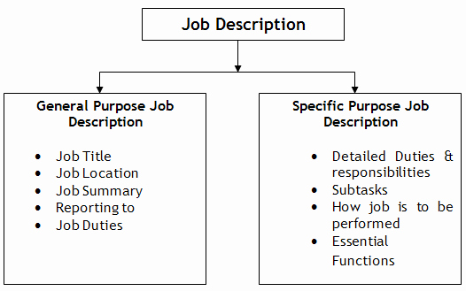 Generic Job Description Elegant General and Specific Purpose Of Job Description