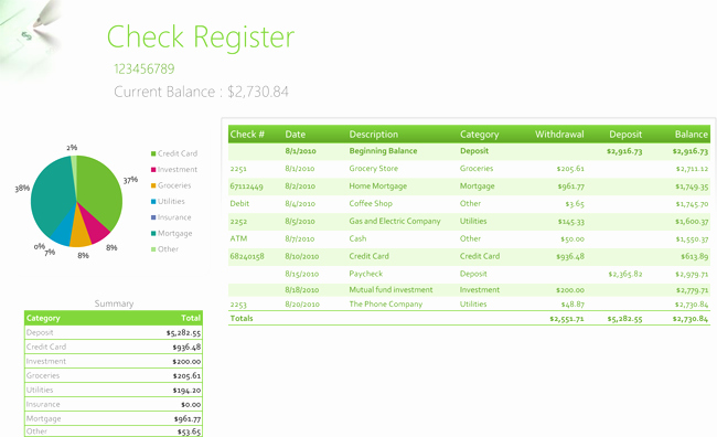 Google Docs Check Register Inspirational Checkbook Register Template