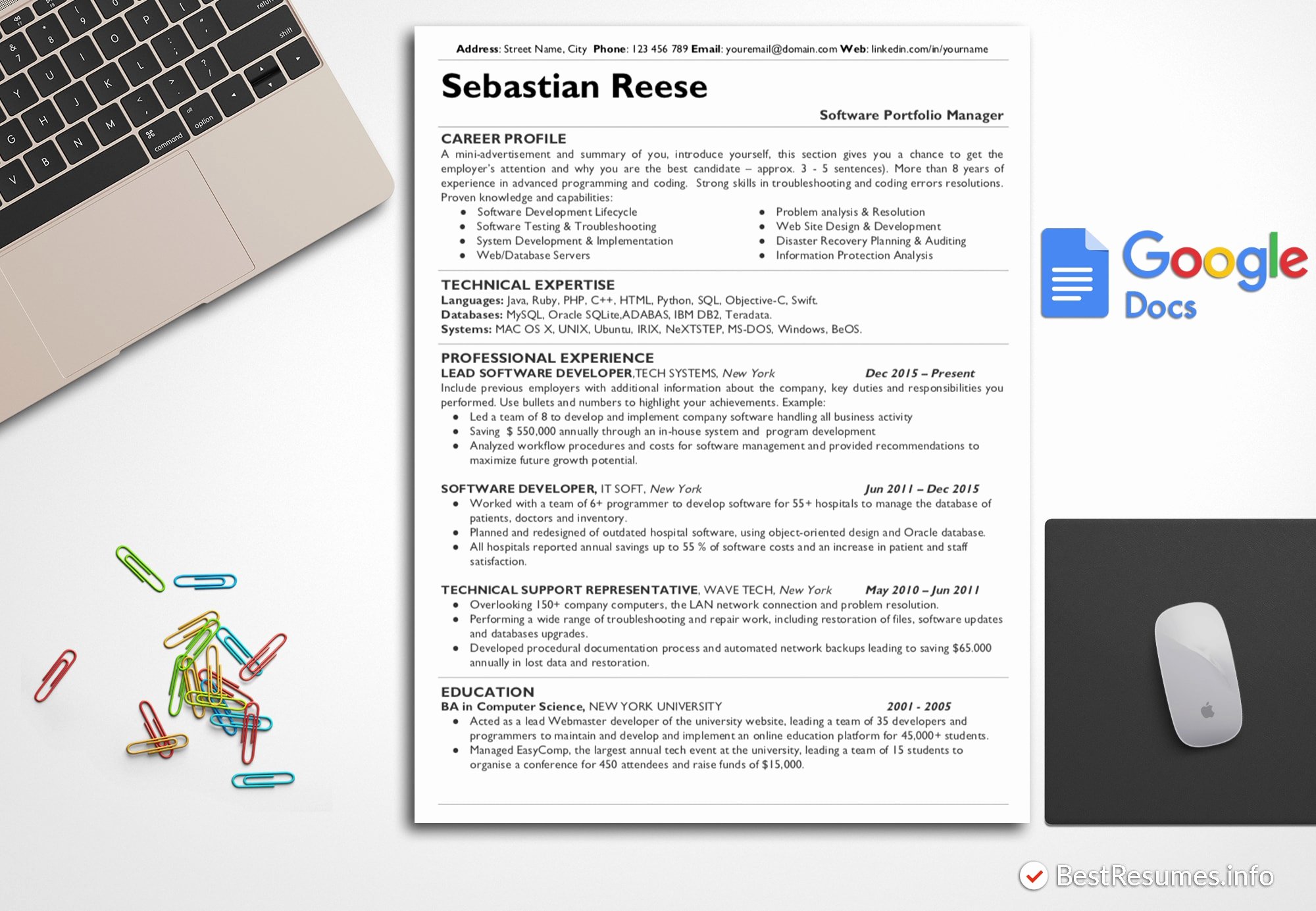 Google Docs Check Register Luxury Resume Template Sebastian Reese Bestresumes