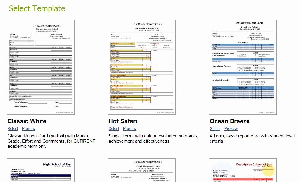 Grade Progress Report Template Lovely What is the Relationship Between Gradebooks and Report