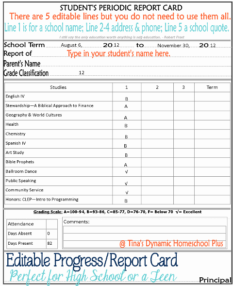 Grade Progress Report Template New 7 Step Curriculum Planner