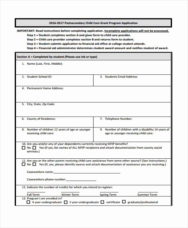 Grant Application form Template Awesome 41 Student Application form Templates