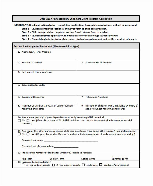 Grant Application form Template Awesome 41 Student Application form Templates