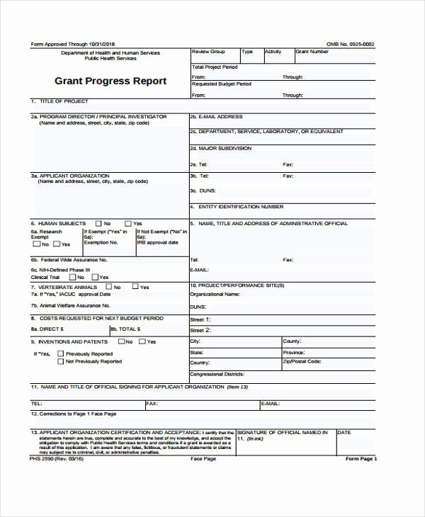 Grant Financial Report Template Awesome 10 Grant Report Templates