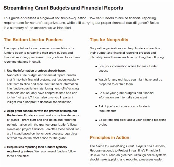 Grant Financial Report Template Beautiful Grant Bud Template 8 Download Free Document In Pdf