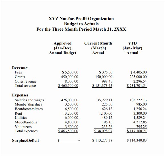 Grant Financial Report Template Best Of Nonprofit Annual Report Template