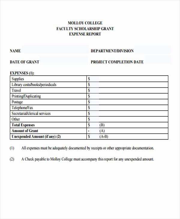 Grant Financial Report Template Inspirational 6 Grant Report Templates Free Word Pdf format Download