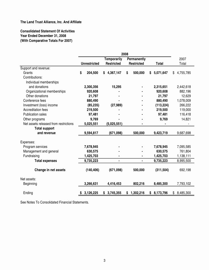 Grant Financial Report Template Inspirational Financial Statement Template