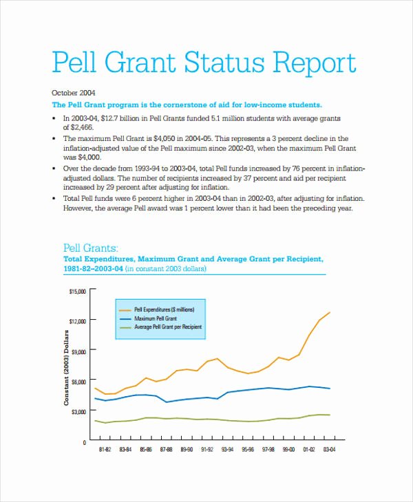 Grant Financial Report Template Lovely 10 Grant Report Templates