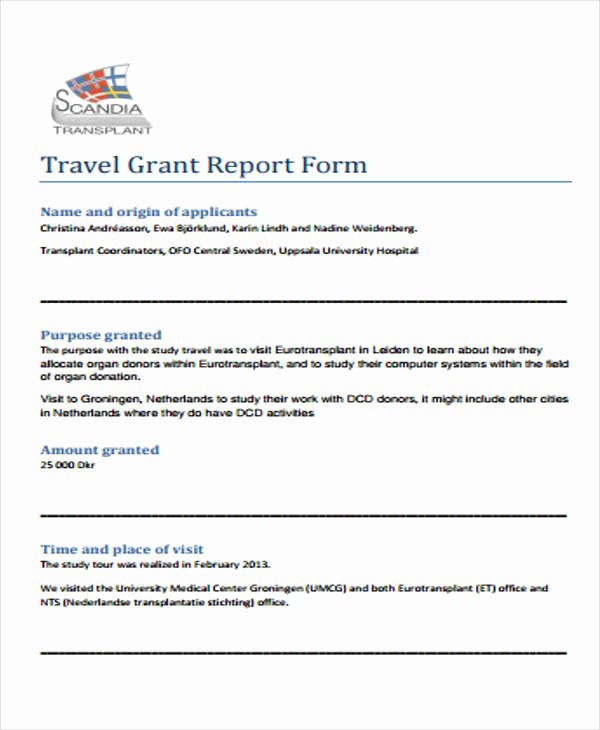 Grant Financial Report Template Lovely 6 Grant Report Templates Free Word Pdf format Download