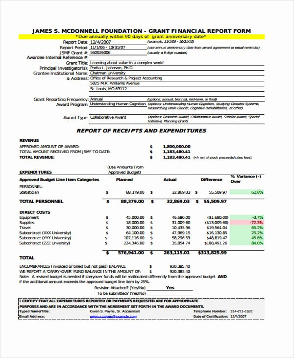 Grant Financial Report Template Luxury 10 Grant Report Templates