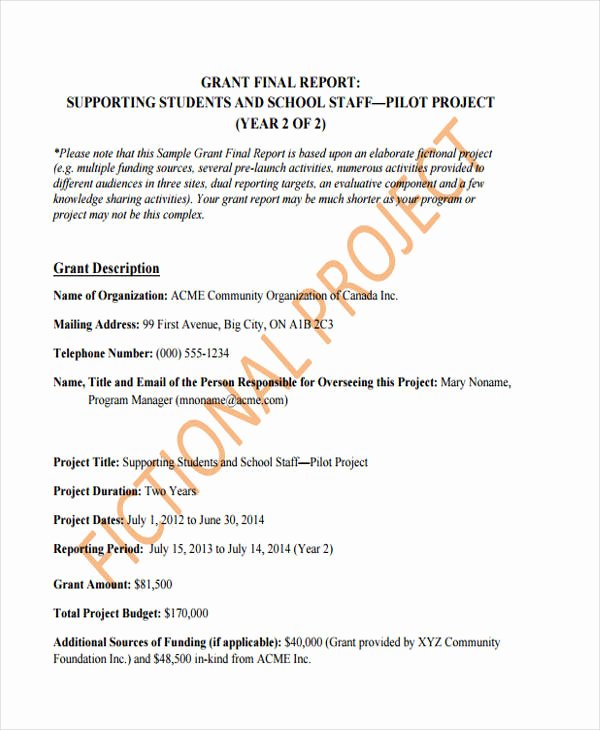 Grant Financial Report Template Luxury 10 Grant Report Templates