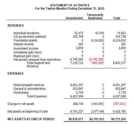 Grant Financial Report Template New Understanding Nonprofit Financial Statements