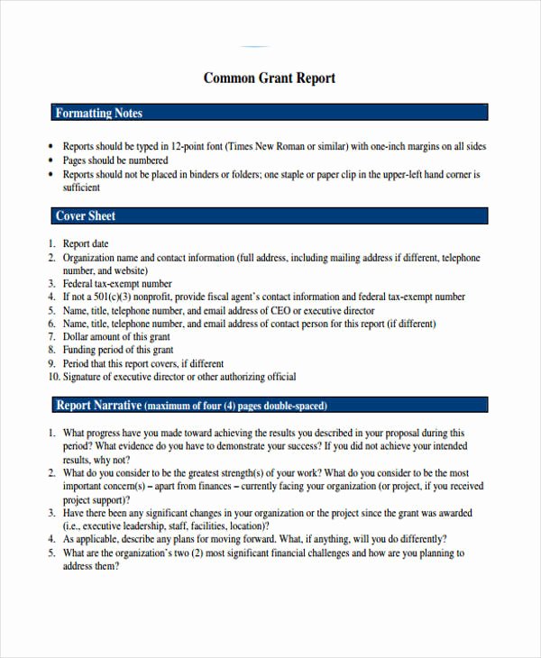 Grant Report Example Elegant 10 Grant Report Templates