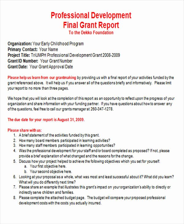 Grant Report Example Inspirational 76 Report Samples In Docs