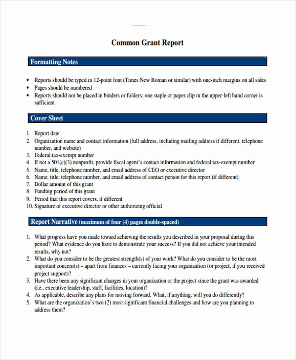 Grant Report Sample Unique 10 Grant Report Templates