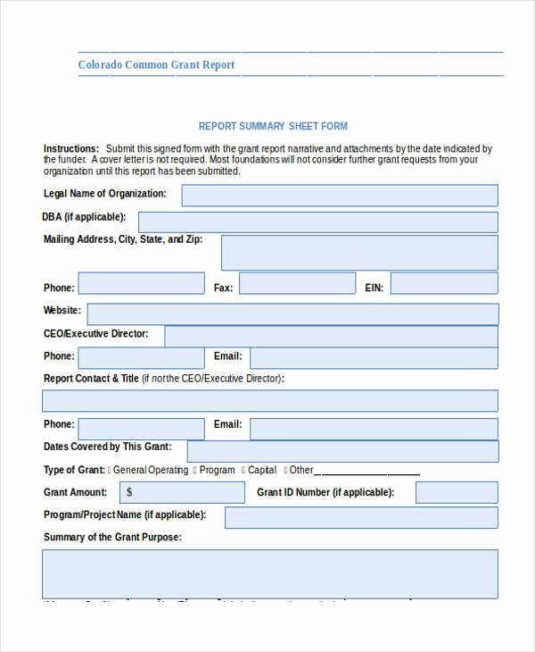 Grant Report Sample Unique 20 Expense Report form In Word