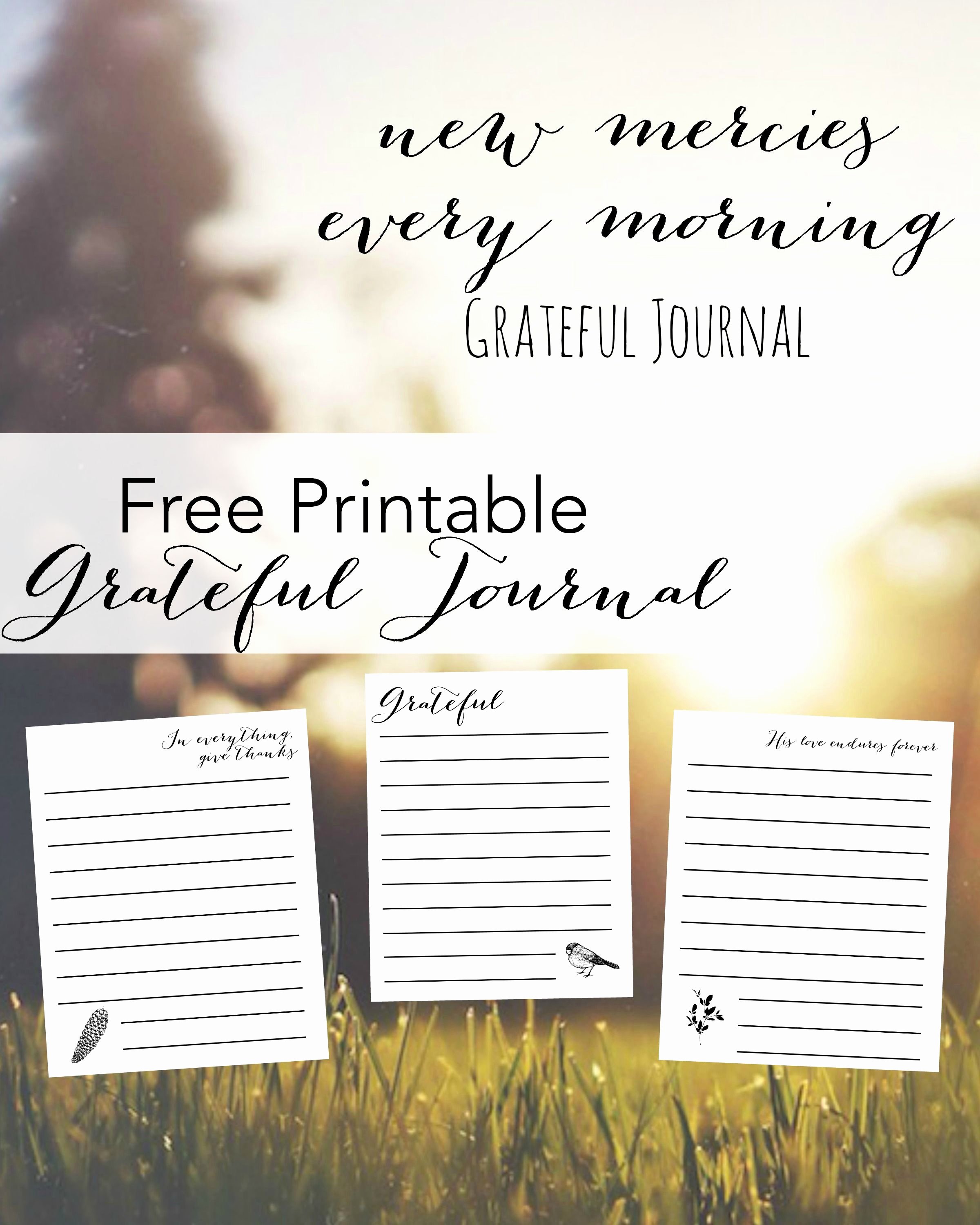 Gratitude Journal Template Free New Free Printable Gratitude Journal Freeprintable