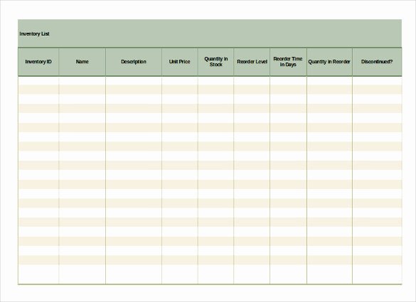 Gun Inventory Template New Inventory List Template 13 Free Word Excel Pdf