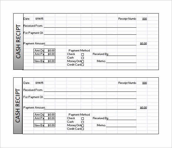 Hand Written Receipt Template Elegant Receipt Template Doc for Word Documents In Different Types