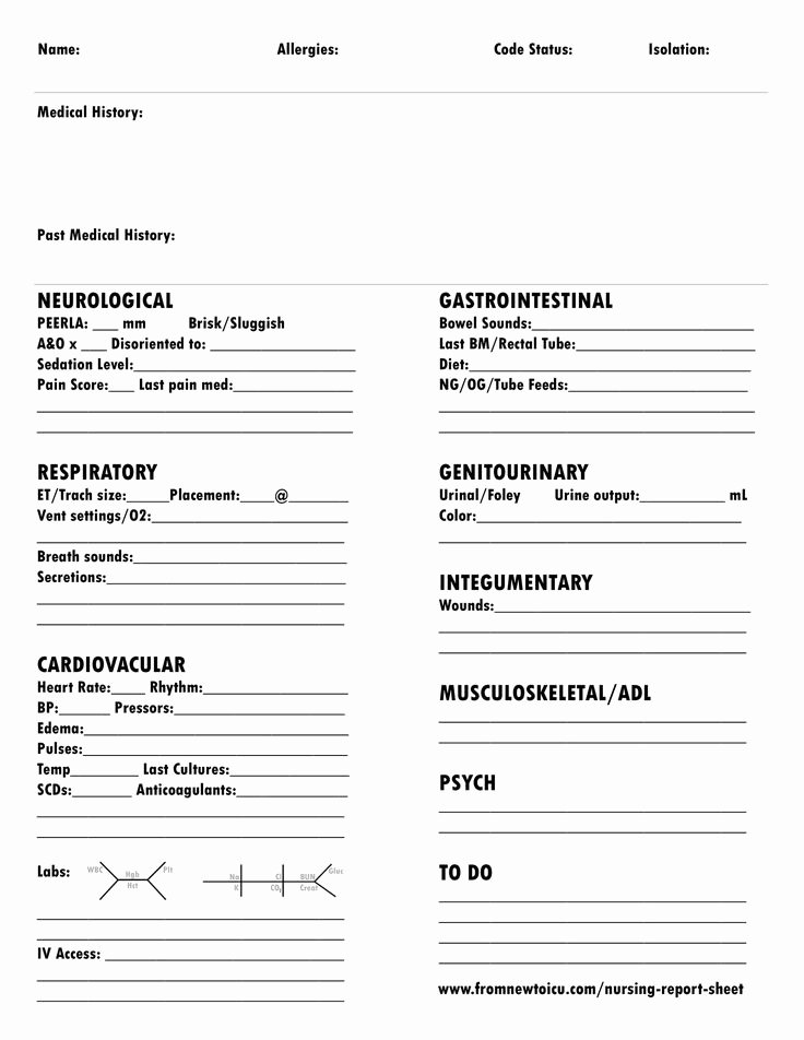 Head to toe assessment Template Awesome Nursing Report Sheet Cvicu
