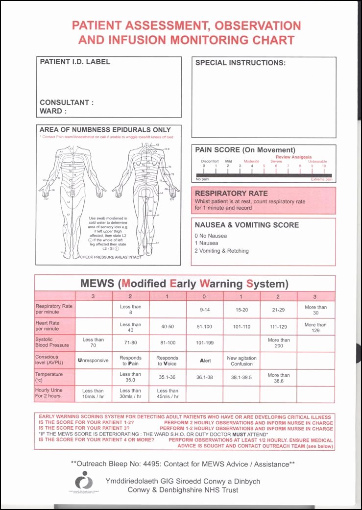 Head to toe assessment Template Beautiful Senior Project On Emaze