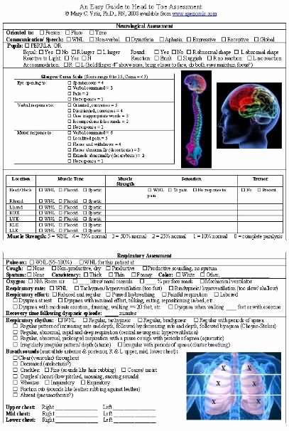 Head to toe assessment Template Elegant Head to toe assessment form for Clinical