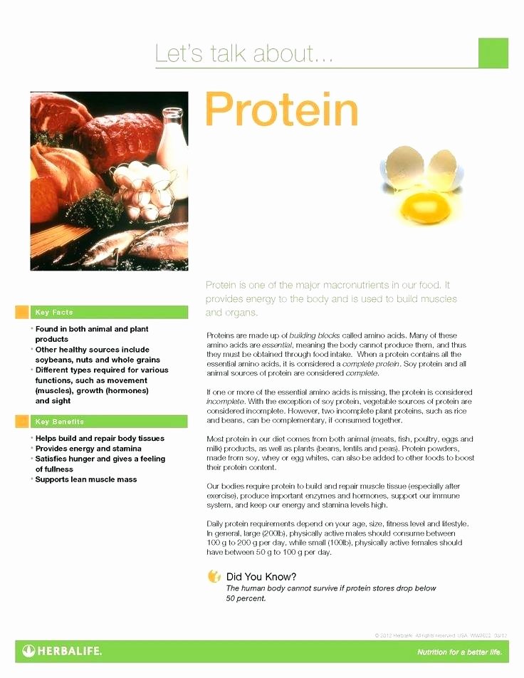 Herbalife Flyer Template Elegant Microsoft Word Nutrition Brochure Template Nutrition Ftempo