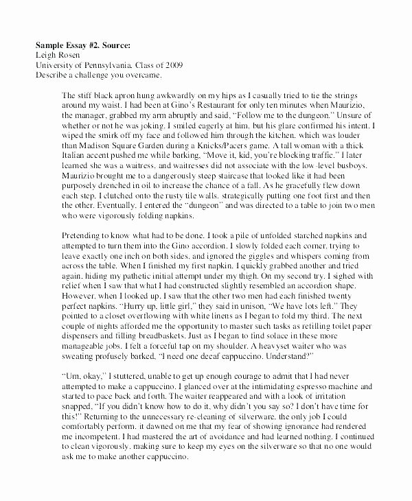 High School Application Essay Examples Awesome Essay Prompt Examples – Administrativelawjudgefo