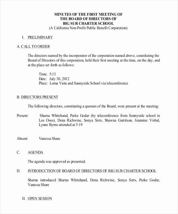 Hoa Board Meeting Minutes Template Unique 17 Board Meeting Minutes Examples