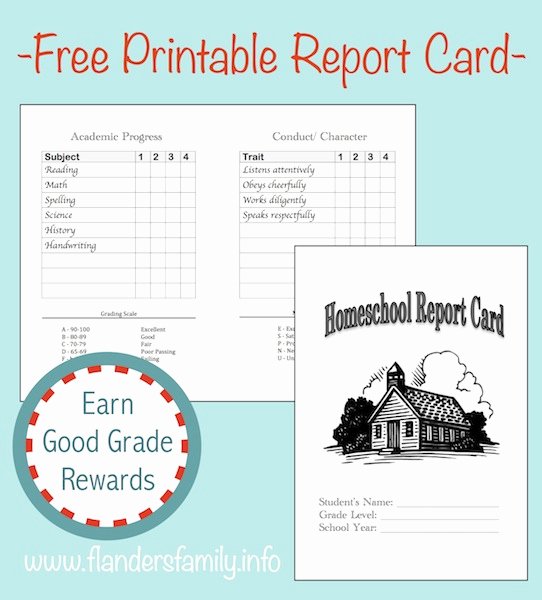 Homeschool Grading Template Fresh Home School Report Cards Flanders Family Homelife