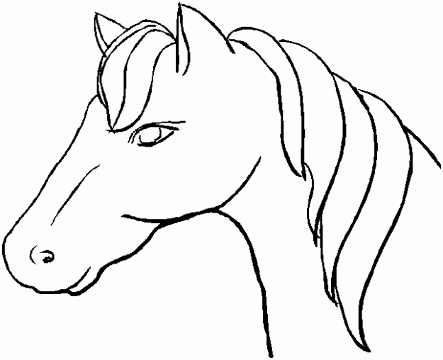 Horse Cake Template Inspirational Other Hobbies