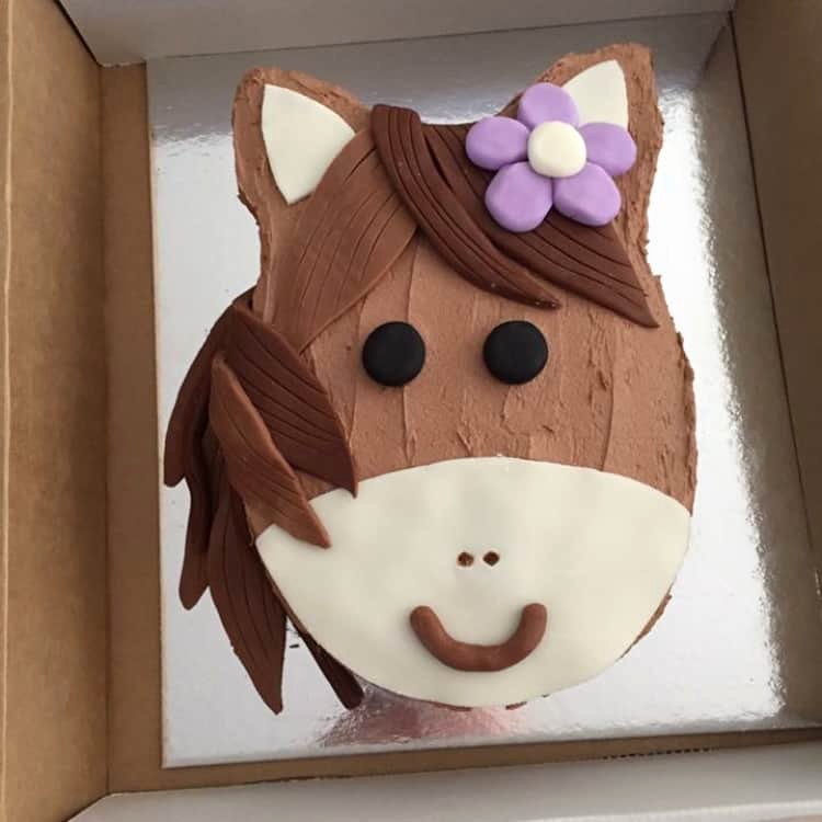 Horse Cake Template Luxury Pony Cake Kit Girls Birthday Cake Diy Cake Kit Horse Cake