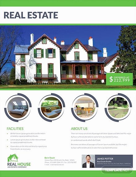 House for Sale Template Lovely 17 Free Sales Flyer Templates