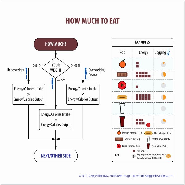 How Much is 600 Words Unique the Food Cube as the New Food Pyramid