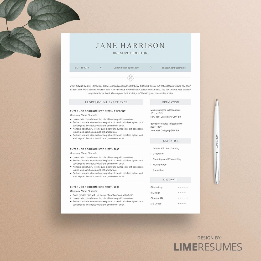 How to Cancel Resume now Luxury Resume Template 31