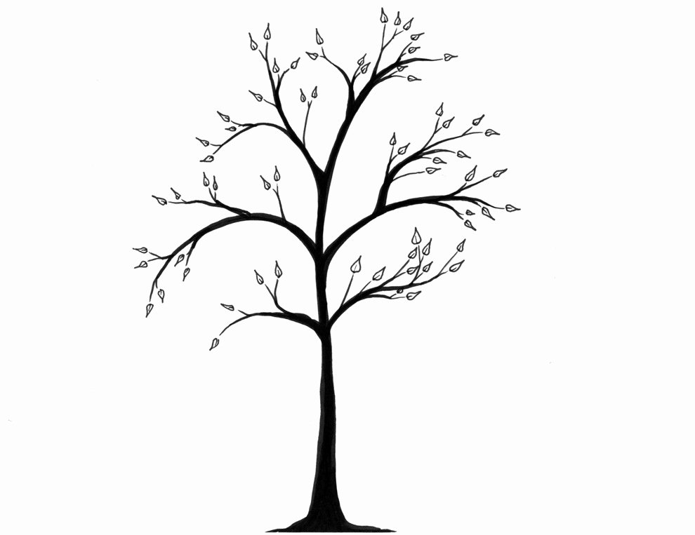 How to Draw A Simple Tree without Leaves Awesome Free Simple Tree Drawings Download Free Clip Art Free